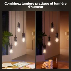 Best Philips Hue Ampoule LED connectée A60 IP20 E27 550lm 7W blanc