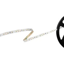 Barthelme Ruban Led<Basic 60 51541134 - Ruban LED autocollant 5 m blanc froid 12 V 700 lm