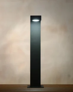 Best Lucide Borne extérieur TEXAS en aluminium avec LED intégré - Anthracite -