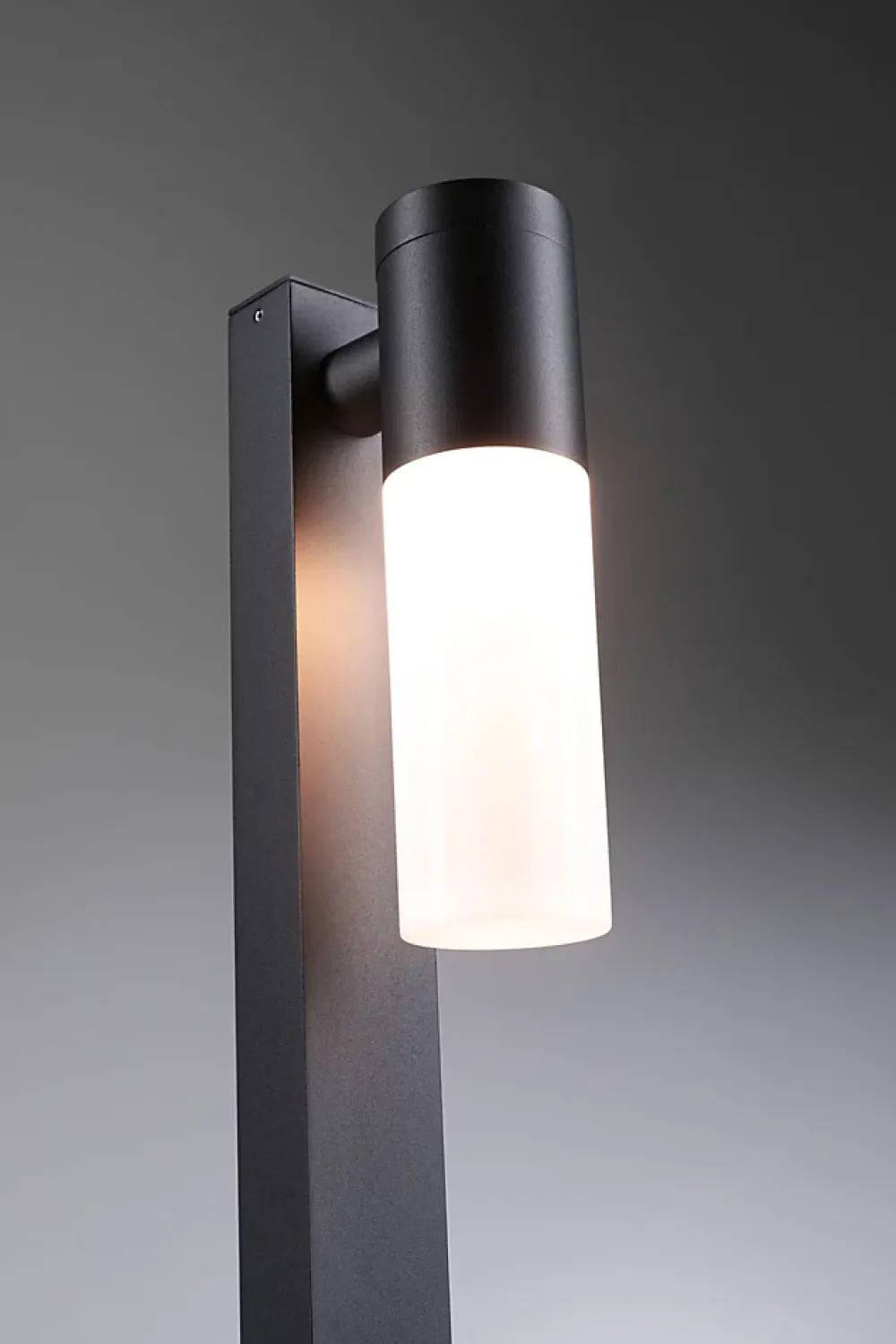 Best Paulmann Borne lumineuse Tralia IP44 650mm max. 10W 230V Anthracite E27 Aluminium