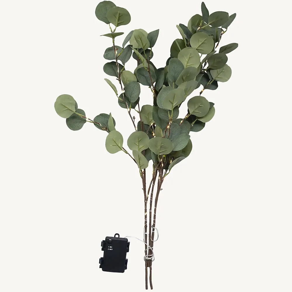 3M France Guirlande Lumineuse Extérieure<Branches lumineuses d'eucalyptus à piles - Chromex