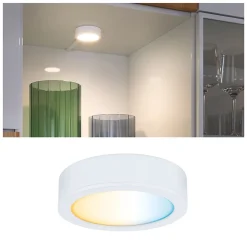 Best Paulmann Clever Connect Spot LED Disc Tunable White 2,1W Blanc dépoli