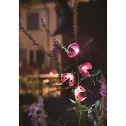 Best Galix Solaire Décoration solaire Coccinelle clipsable- 2 Lumens- Eclairage extérieur Jardin