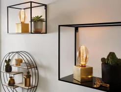 Best Paulmann Inner Glow Edition Ampoules LED Ampoule intérieure sphérique E27 230V 2x230lm 2x4W 1800K Doré