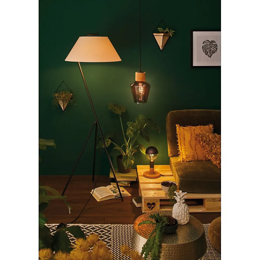 Best Paulmann LED G125 Calotte réflectrice 600lm E27 2700K 6,5W 230V Noir mate gradable