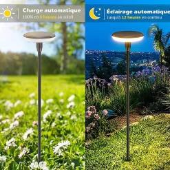 Kyf Balise Extérieure Et Luminaire Pour Clôture<Lot de 2 Eclairages LED 35 lm Solaire à planter Idéal illumination de composition florale