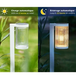 Best Kyf Lot de 8 Eclairages LED 25 lm Solaire à planter Idéal éclairage Allée et chemin