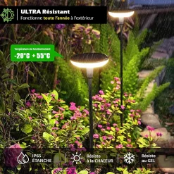 Hot Kyf Lot de 4 Eclairages LED 35 lm Solaire à planter Idéal illumination de composition florale