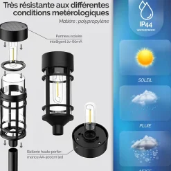 Best Linxor Lot de 2 lampes solaires extérieures, éclairage LED - Noir -