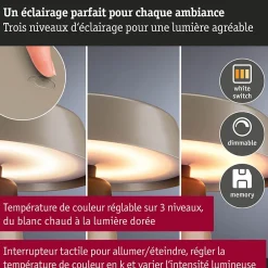 Best Paulmann Luminaire rechargeable Lirox IP44 White Switch Champagne Noir