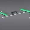 Best Trio Plafonnier LED RGBW noir mat 22W dimmable avec télécommande - - Arvin