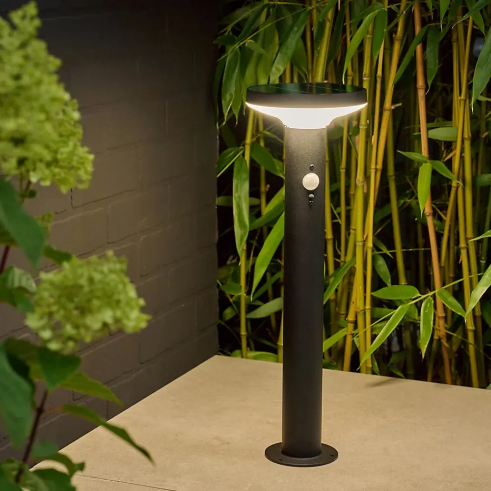 Sale GoodHome Potelet extérieur solaire LED intégrée Cowhorn noir 650 lm IP44