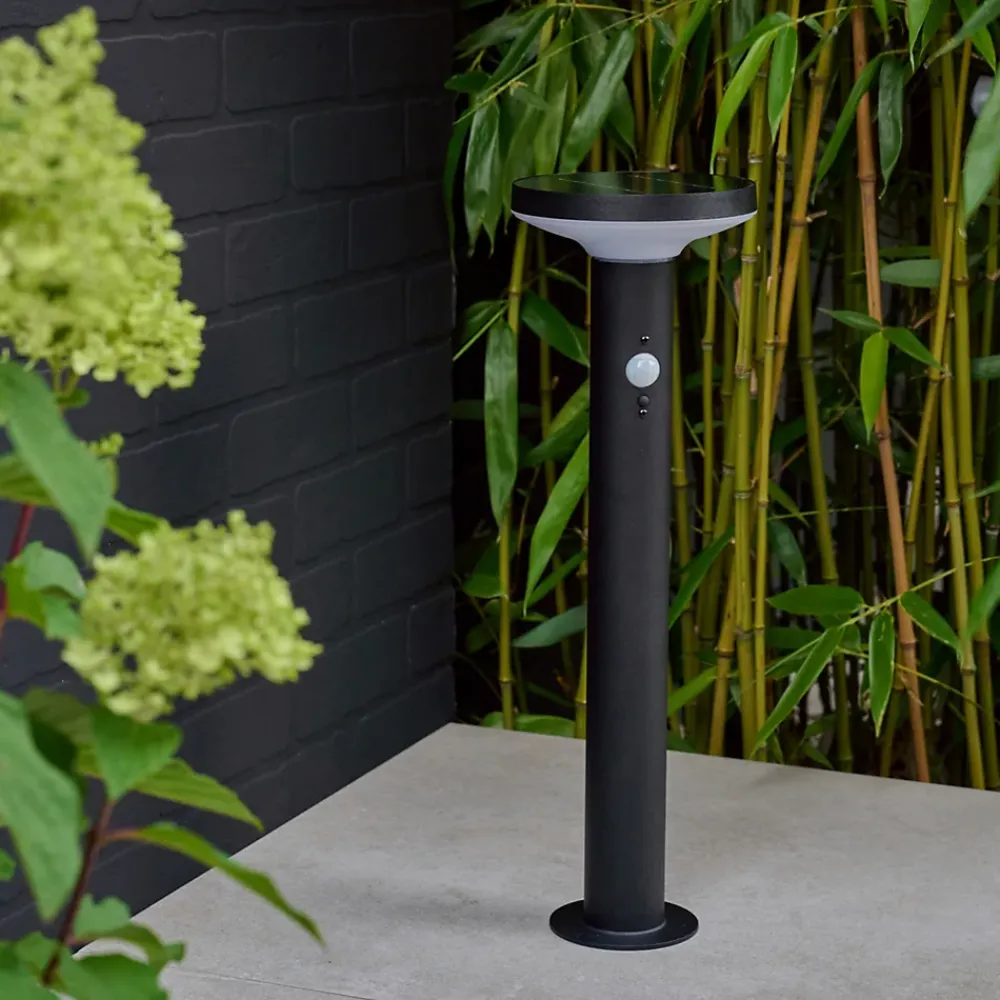 Sale GoodHome Potelet extérieur solaire LED intégrée Cowhorn noir 650 lm IP44