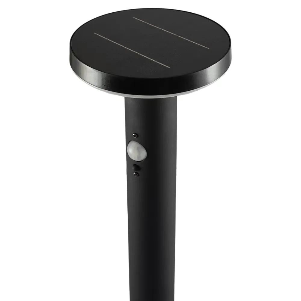 Sale GoodHome Potelet extérieur solaire LED intégrée Cowhorn noir 650 lm IP44