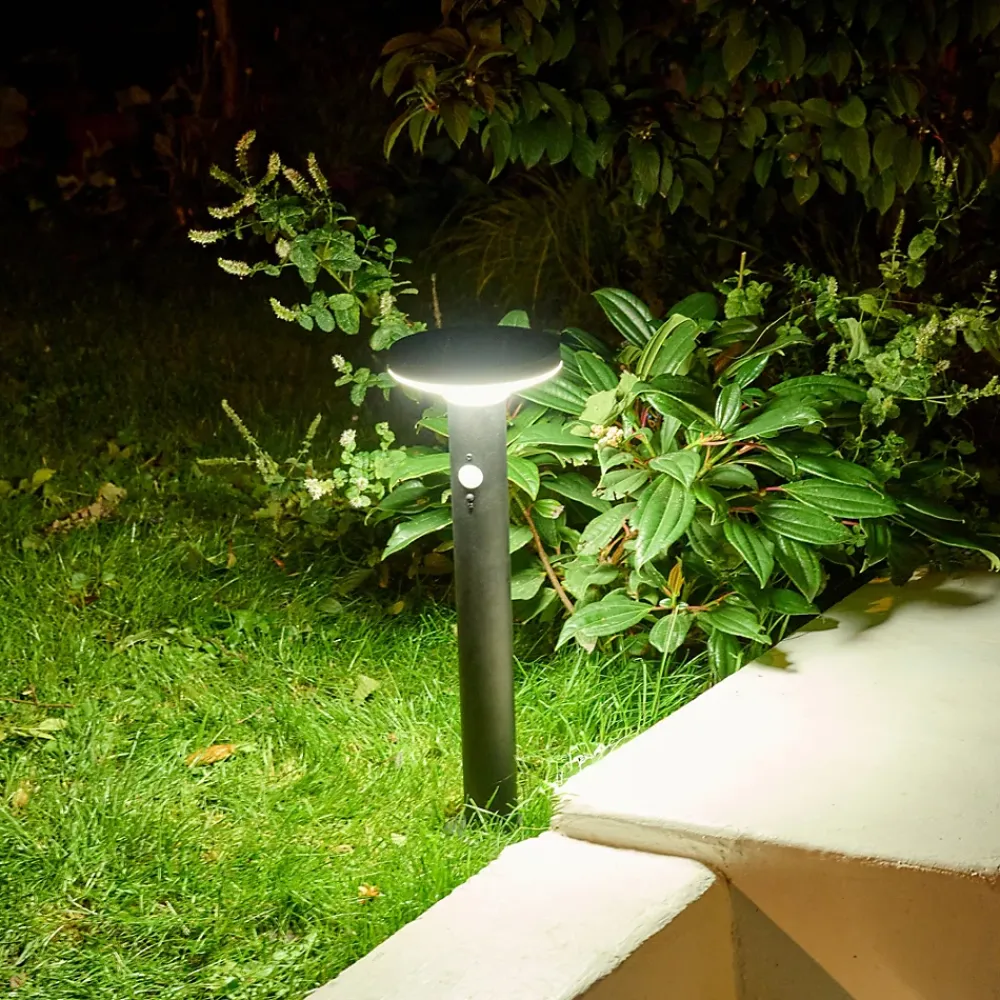 Sale GoodHome Potelet extérieur solaire LED intégrée Cowhorn noir 650 lm IP44