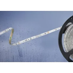Best Barthelme Ruban LED 51540434 12 V 5 m IP54 blanc froid CRI 90 dimmable