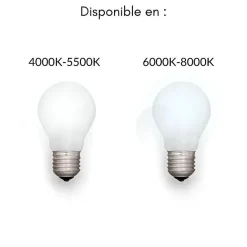 Best Silamp Tube néon LED 150cm T5 24W - Blanc Neutre 4000K - 5500K -