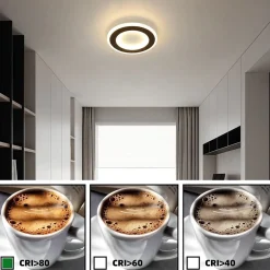 zmh Plafonnier Pour Chambre|Plafonnier Pour Cuisine<Plafonnier LED Moderne Noir et Blanc 24cm pour Salon, Couloir et Plus